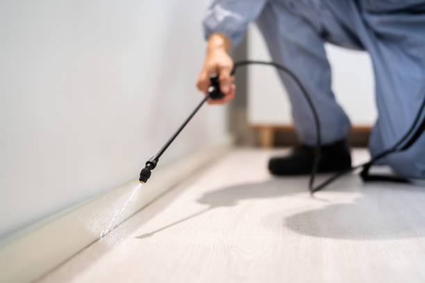 Licensed Rodent Control service in Paulding County County, GA - Nex Pest Control